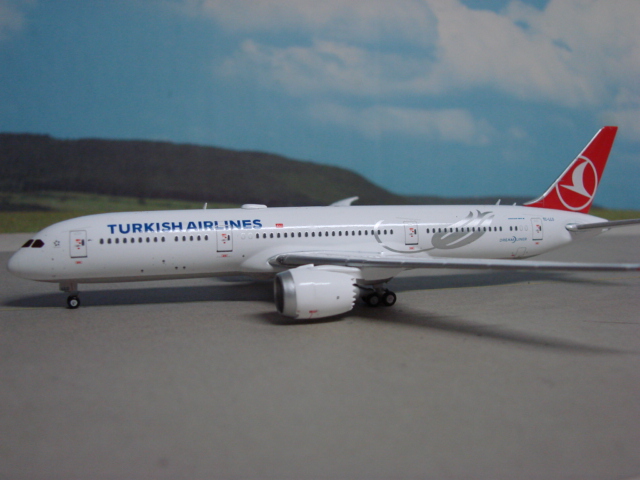 Boeing 787-8 Turkish Airlines