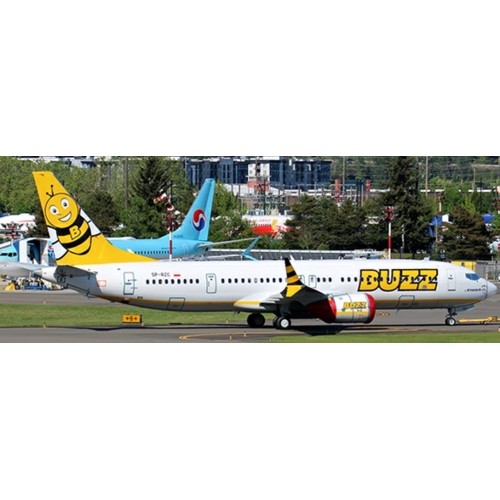 Boeing 737 MAX 8 Buzz